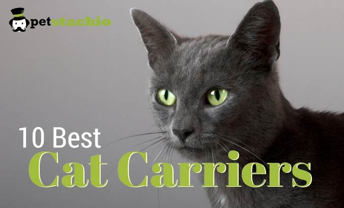 10 Best Pet Carriers