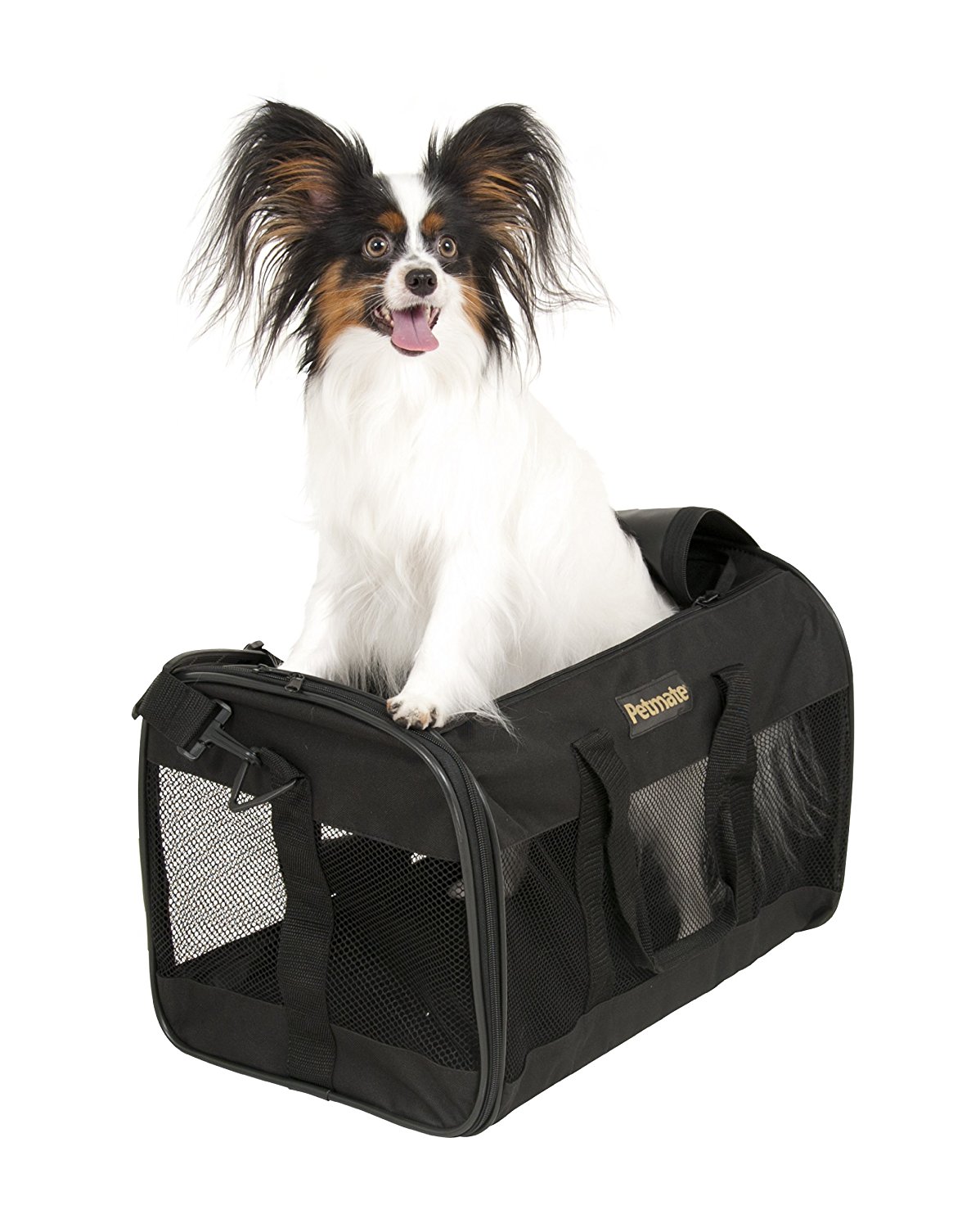 Petmate Soft-Sided Kennel Cab Pet Carrier