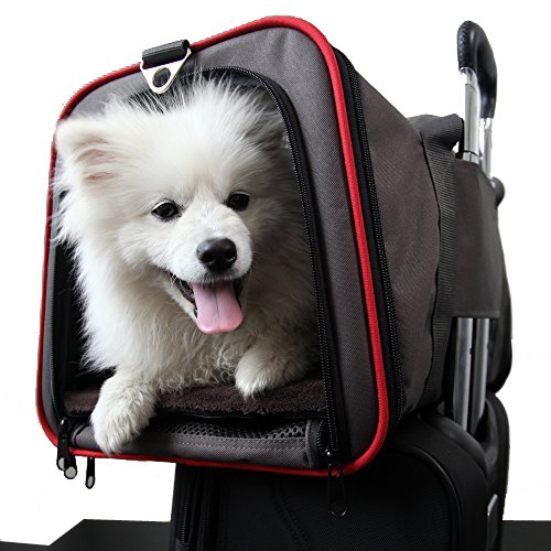 Premium Airline Approved Expandable Pet Carrier by Pet Peppy- TWO SIDE Expansion, Designed for Cats, Dogs, Kittens,Puppies - Extra Spacious Soft Sided Carrier!